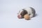Ten days old excellent puppies of the Welsh Corgi Pembroke is isolated on a white background