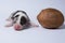 Ten days old excellent puppies of the Welsh Corgi Pembroke is isolated on a white background