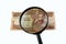 Ten Ethiopian birr bill and magnifying glass