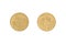 Ten Moroccan santimat coin