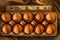 Ten organic brown golden eggs shining glowing yellow orange in the light of the sunset in a cardboard, carton box