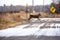 Ten point white tailed deer buck running across a Wisconsin road