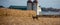 Ten point white tailed deer buck standing in a farmers cornfield in November