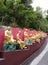 Ten Thousand Buddhas Monastery hongkong sha tin beautiful of Chinese temple