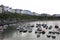 Tenby bay harbour carmarthen bay