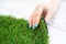 Tender female hand touching an artificial grass roll.