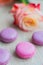 Tender french dessert macaroons with rose flower on wooden background, soft focus