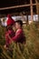 Tender hugs of young couple in love among green market of Christmas trees in city