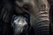 Tender image of an Elephant mother and calf. Amazing African Wildlife. Generative Ai