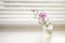 Tender little violet flowers in a small vase on a white blurred windowsill