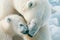 Tender Moment Between Polar Bear and Cub in the Arctic Wilderness