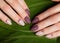 Tender neat manicure on female hands on green leaves background. Nail design