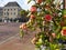 Tender rose bush blossoming on the street of a small dutch town