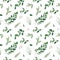 Tender, vector winter Christmas spruce tree branches, eucalyptus greenery leaves, green foliage, herbs seamless pattern. Rustic