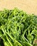 Tenderstem broccoli