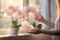 Tending to a blooming Phalaenopsis orchid: woman\\\'s touch by the window