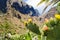 Tenerife - Masca valley with cactus and palms view