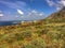 Tenerife, wild coast in Hidalgo