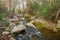 The Tenes river with riverine forest