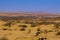 Tenggeli desert and grass