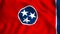 Tennessee flag US state symbol