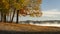 Tennessee River at Colbert Ferry Park, Natchez Trace National Parkway, November scenery