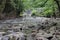 Tennessee Smoky Mountain Streams of Summer