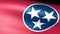 Tennessee State Flag Waving