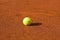 Tennis ball