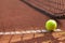 Tennis, ball and clay court, net and line for exercise, training and fitness outdoor in summer. Sports, netting and