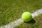 Tennis ball on a grass court