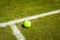 Tennis ball on a grass court