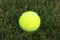 Tennis ball on green grass