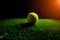 Tennis Ball isolated on black with dramatic lighting