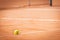 Tennis ball lying on line in sand