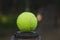tennis ball lying on a metal stand
