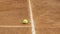 Tennis ball lying near baseline on clay court, healthy lifestyle, close up