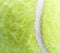 Tennis Ball the texture