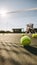 Tennis balls lying on the ground on a tennis court