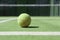 Tennis court with a close up from a tennisball