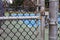 Tennis Court Gate padlocked