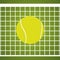 Tennis design balls and nets