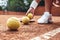 Tennis is her life. Cropped closeup of sporty female legs on tennis court. Beautiful woman tennis player picks up tennis ball off