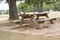 Tennis Shoe on A Picnic Table at Lake Quitman In East Texas