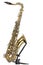 Tenor sax in boxed puzzle