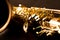 Tenor sax golden saxophone macro selective focus