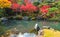 Tenryu-ji garden in fall, Arashiyama, Kyoto, Japan