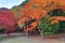 Tenryuji Sogenchi Garden a UNESCO World Heritage Site in Kyoto