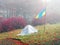 Tent backfilled yellow leaves