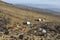 Tent base camp for climbing the top of the extinct volcano Mount Greater Ararat Agri Dagi, Eastern Anatolia Region, Turkey